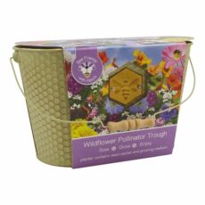 5055128622844 1 Bee Friends Wildflower Pollinator Trough Grow Kit.jpg